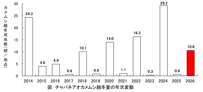チャバネアオカメムシ越冬量の年次変動