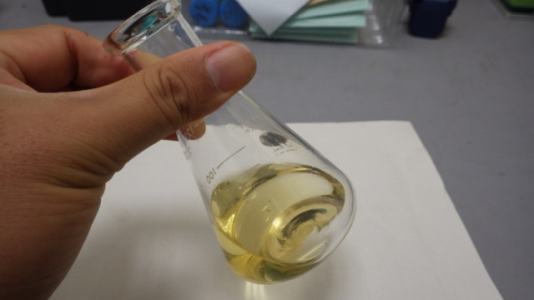 単味製剤原料向けトウキの省力栽培技術の開発