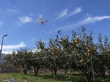 ドローンの利用