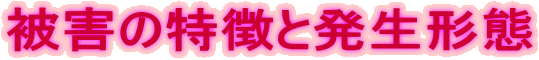 被害の特徴と発生形態