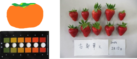 柿イチゴ分析