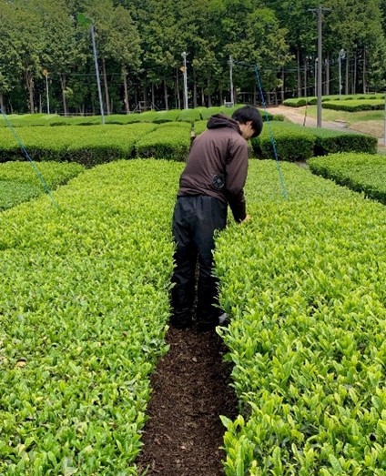 byogai