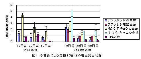 各苗齢による定植15日後の害虫発生状況のグラフ