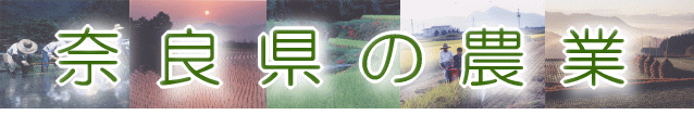 奈良県の農業バナー画像