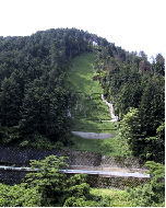 治山事業実施1年後の写真