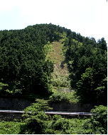 治山事業実施4年後の写真