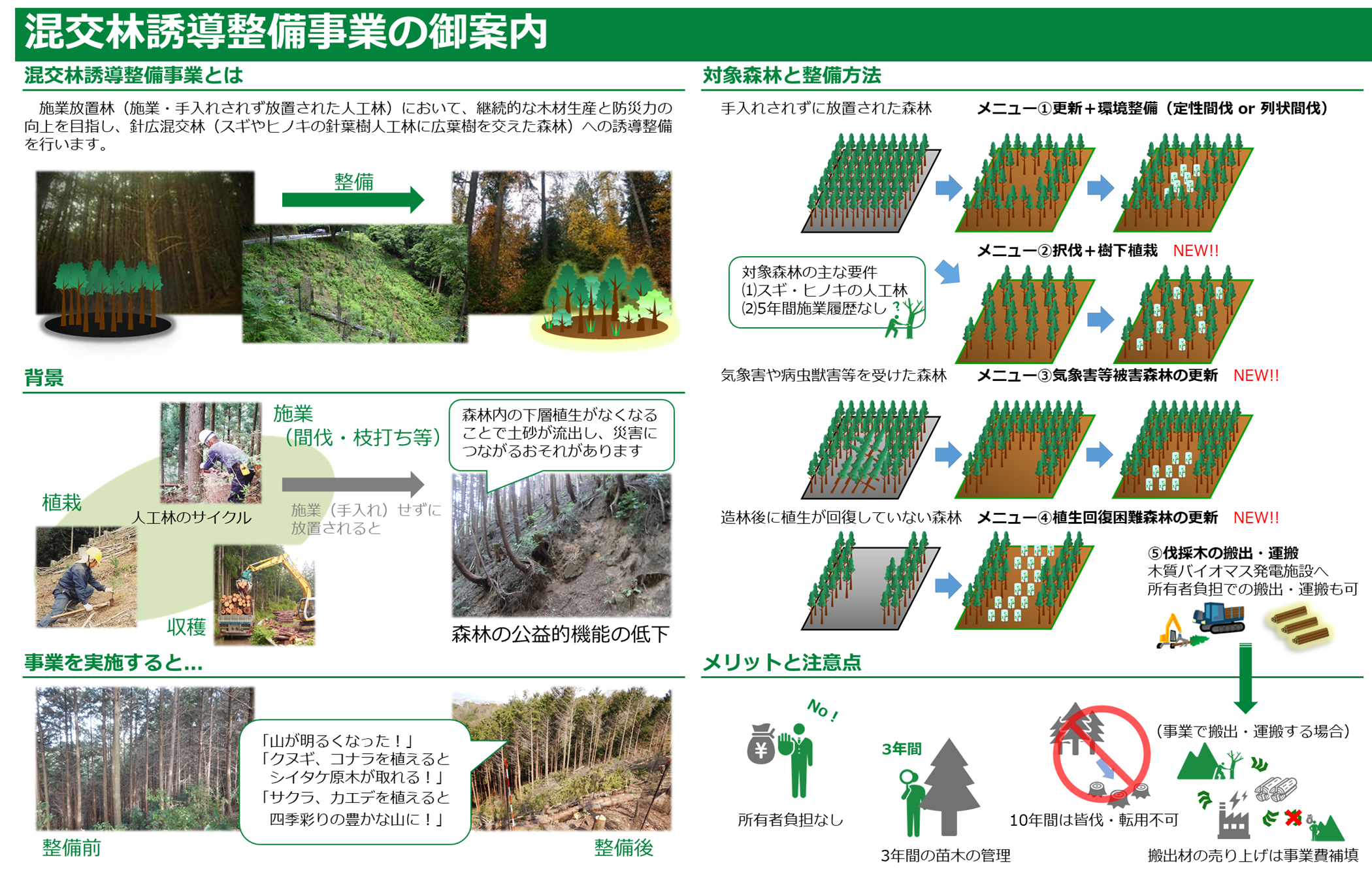 混交林誘導整備事業の御案内