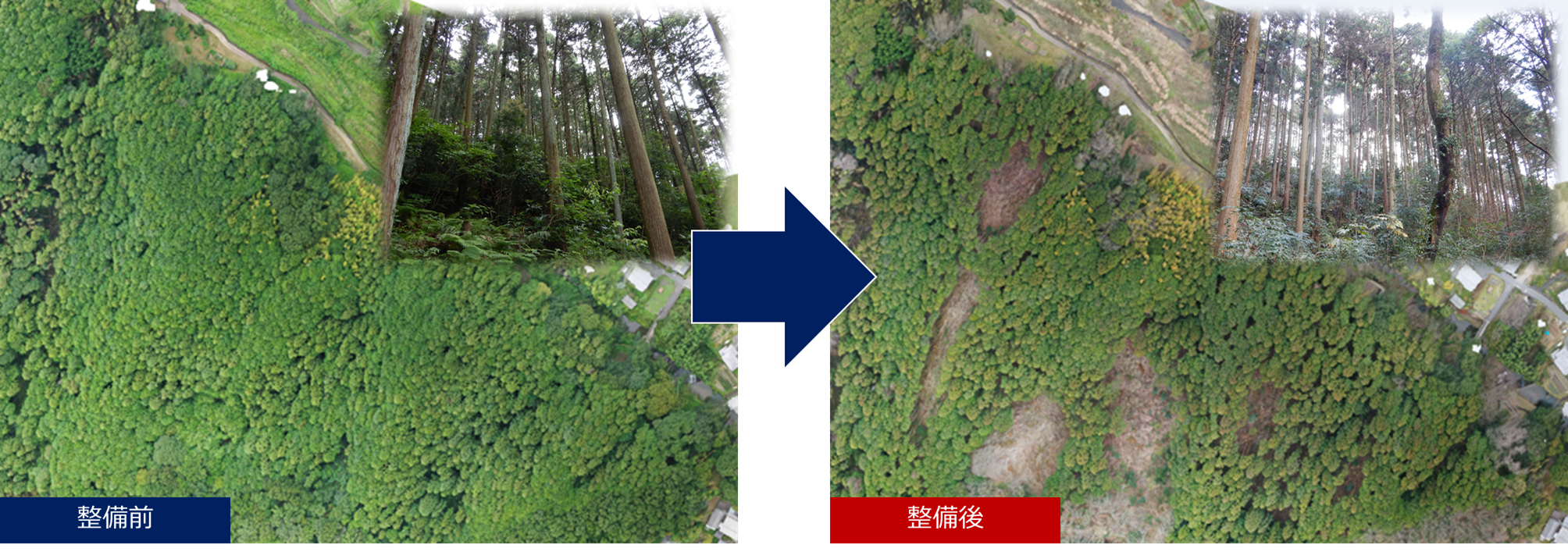 整備前と整備後