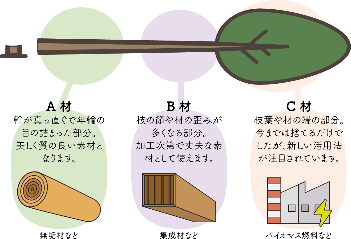 木材の活用イメージ