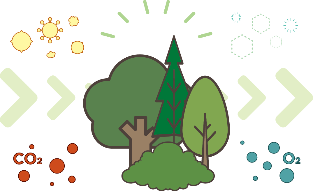 光合成のイメージ