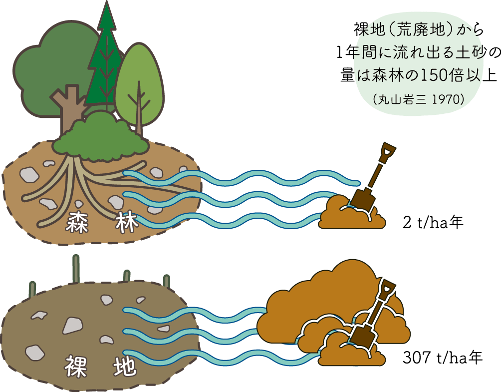 土砂の固定イメージ