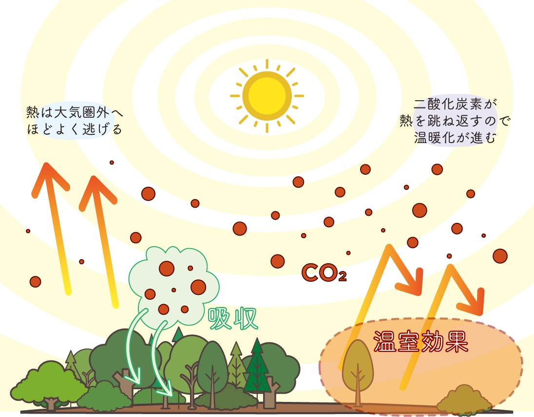 二酸化炭素の循環イメージ
