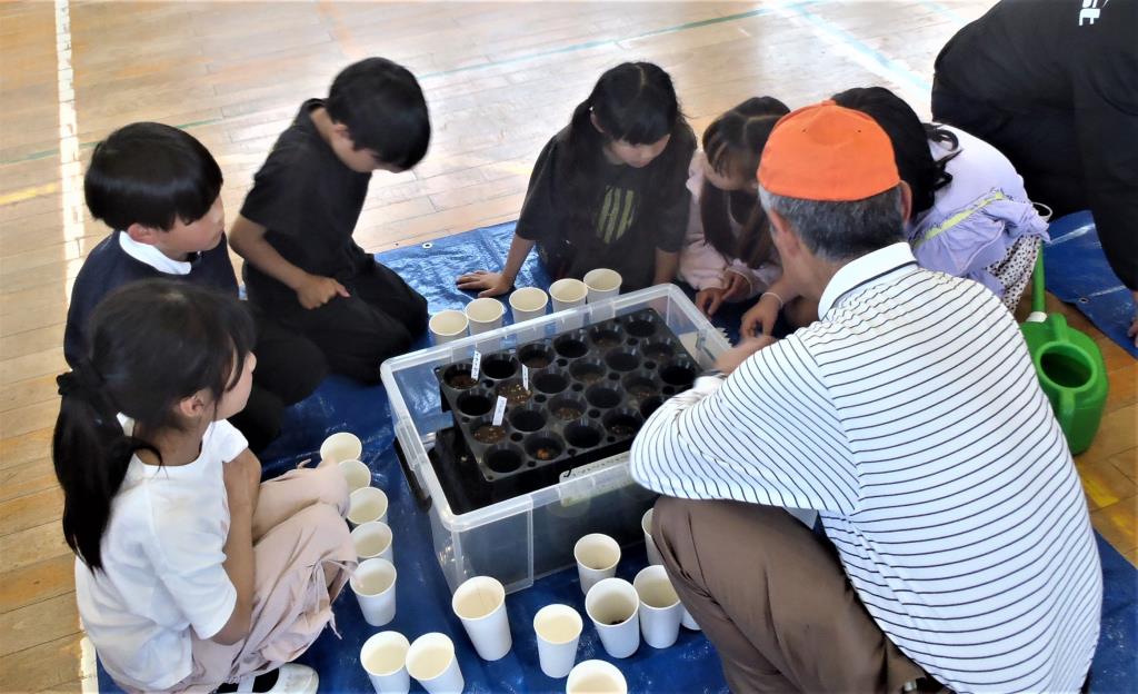 どんぐりの種まきの様子2