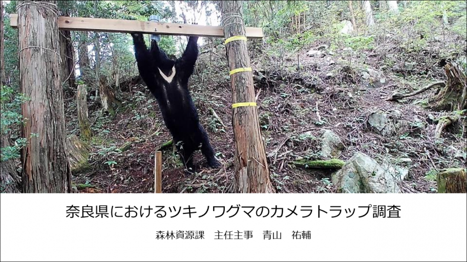 奈良県におけるツキノワグマのカメラトラップ調査