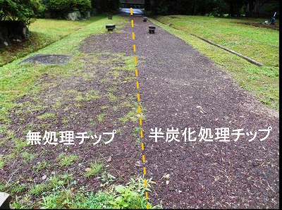 チップ舗装