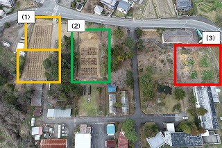 上空からのミニチュア採種園