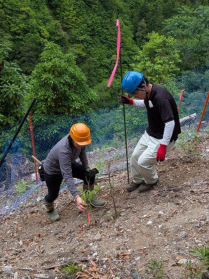 奈良県フォレスターの現地での業務の様子1