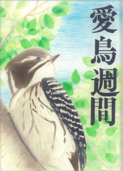 特中１