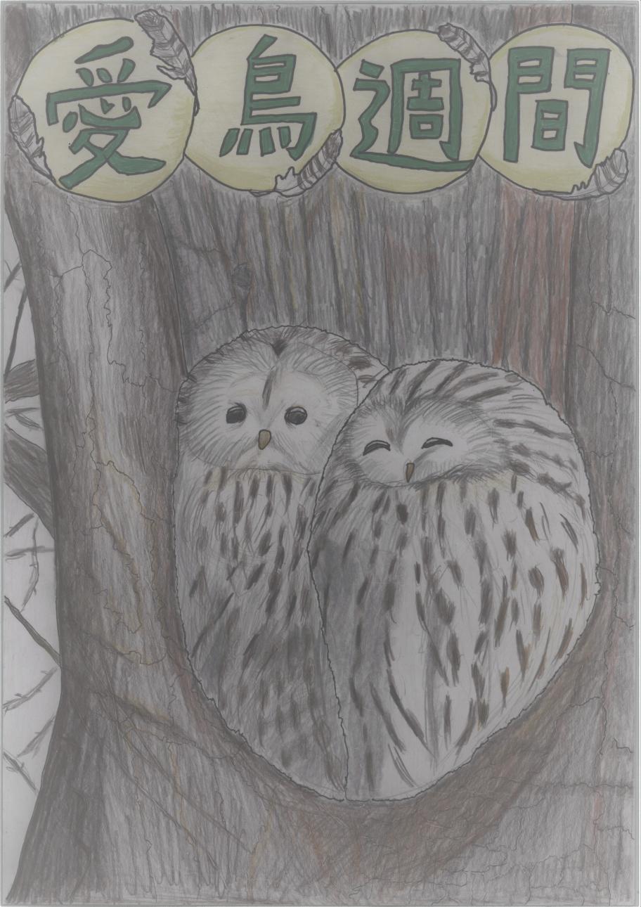 佳作小４