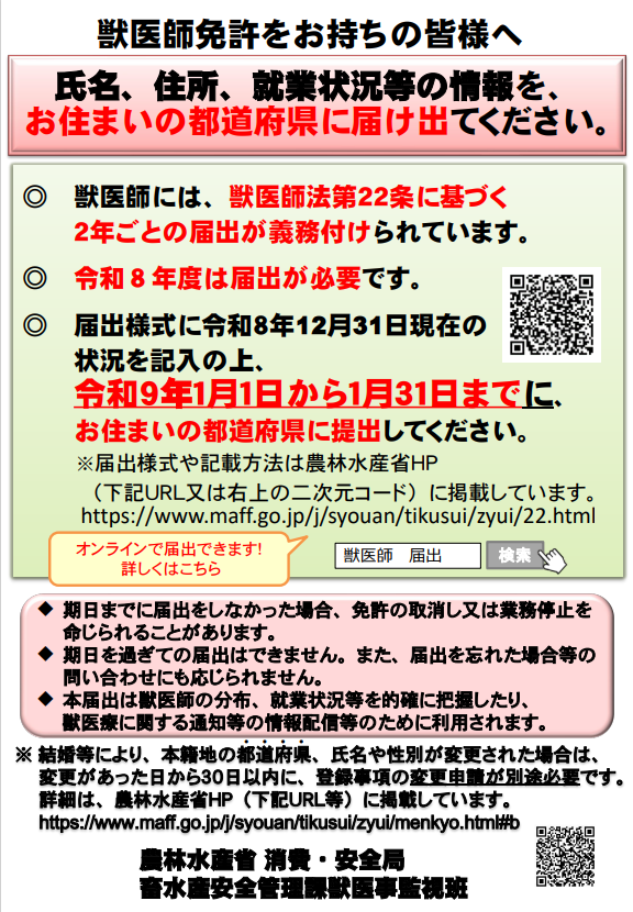 チラシ