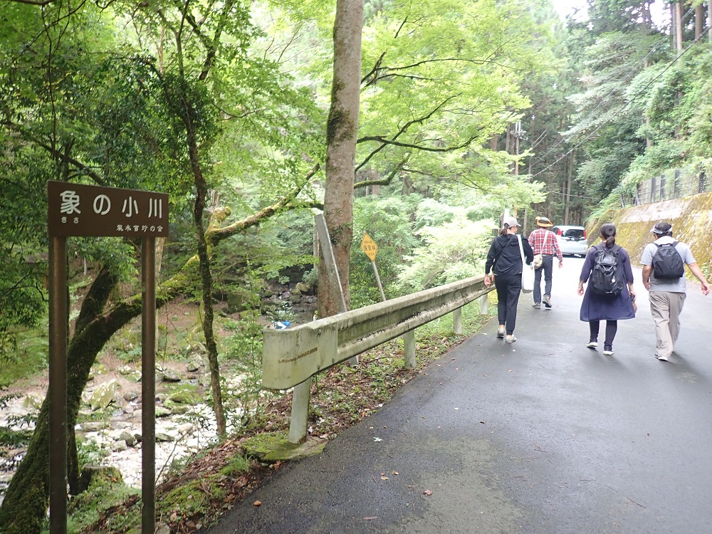 山イベント風景2