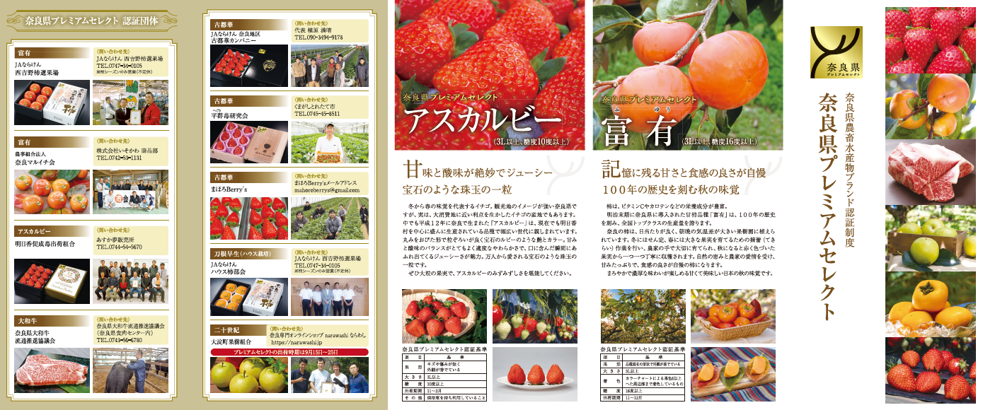 リーフレット（表）