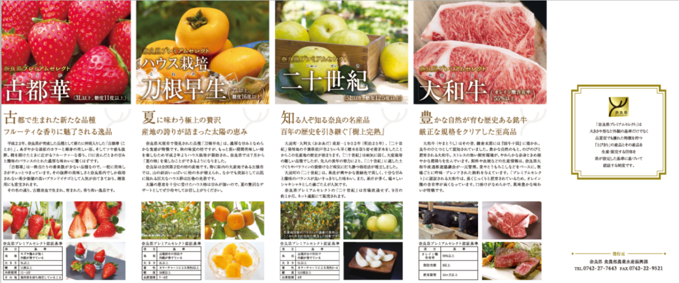 リーフレット（裏）