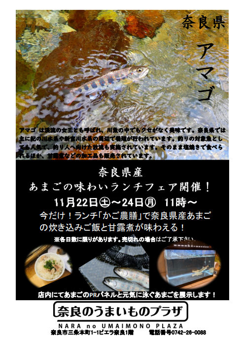 奈良県産あまごの味わいランチフェアチラシ