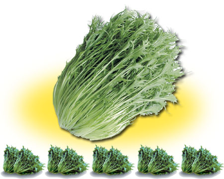 写真:千筋みずな