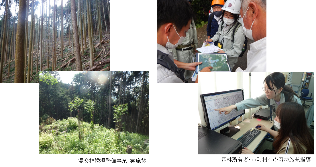 混交林誘導整備事業実施後、森林所有者・市町村への森林施業指導