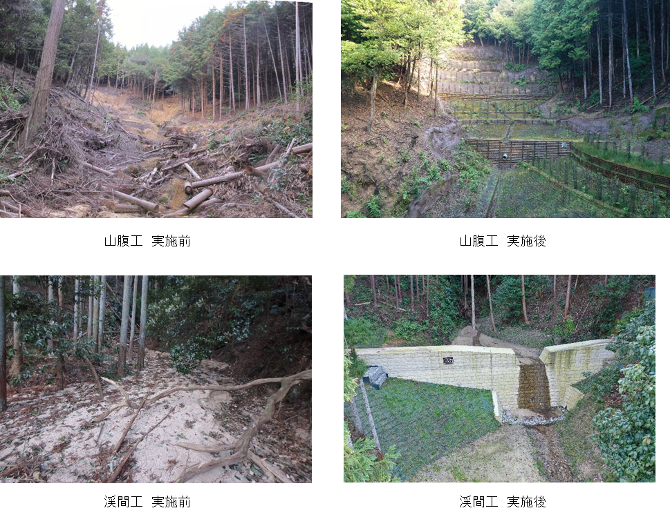 山腹工と渓間工の実施前および実施後