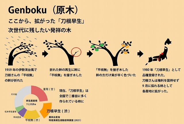 「刀根早生」原木誕生の経緯