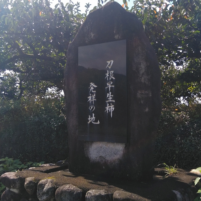 「刀根早生柿発祥の地」顕彰碑