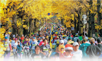 銀杏並木とマラソンランナー