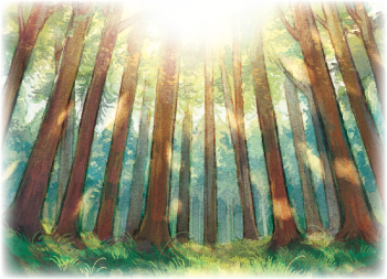 杉林のイラスト