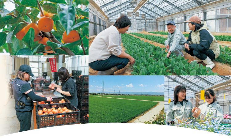 農業のイメージ風景