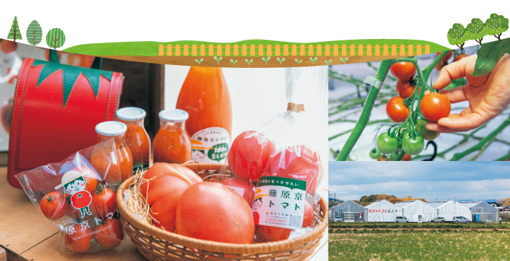 農産物のイメージ風景