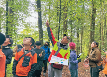 森林での活動の様子