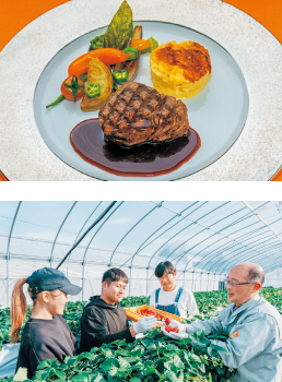 料理の写真、ビニールハウスでの様子