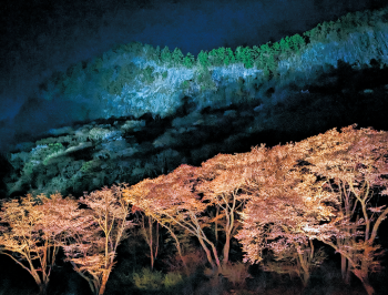 ライトアップされ幻想的な景観