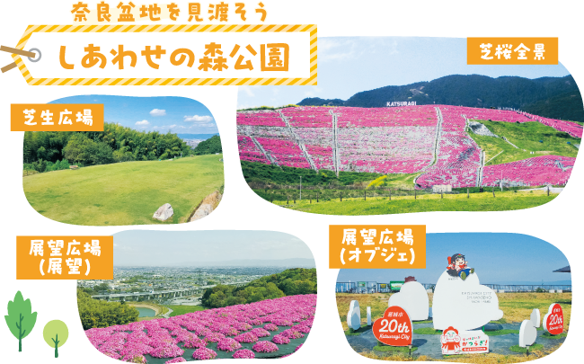 しあわせの森公園紹介画像