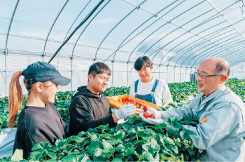 ビニールハウス内