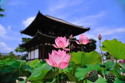 西ノ京　歴史再発見