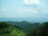 大和風景堪能の道カテゴリーページ