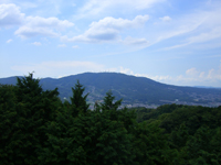 自然探勝の道カテゴリーページ