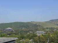 ますます訪ねたくなる奈良カテゴリーページ