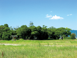 奈良国宝・古墳めぐりカテゴリーページ