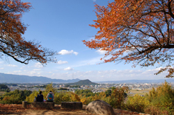 記紀・万葉でたどる奈良カテゴリーページ