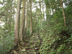 世界遺産・世界遺産暫定登録地めぐりカテゴリーページ