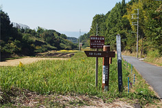 北山の辺の道